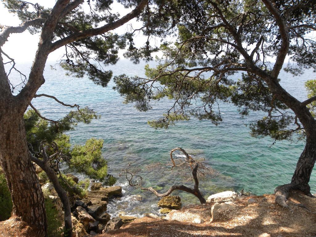 Sun & Sea Apart Bandol Eksteriør billede